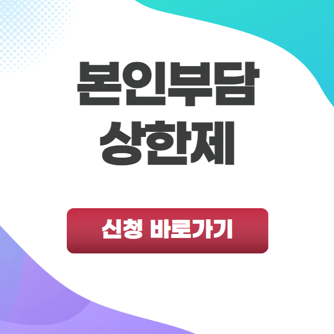 본인부담 상한제